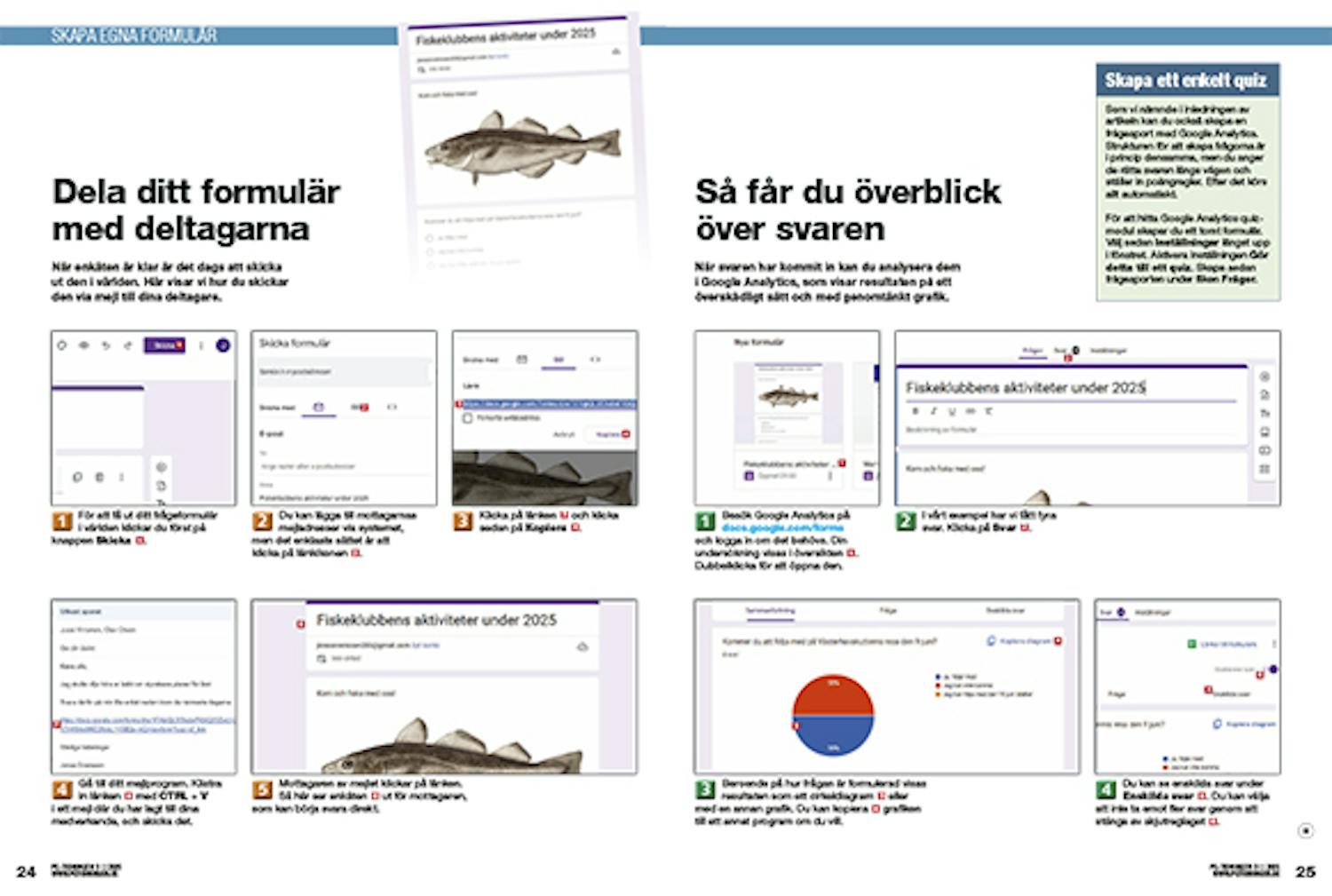 BPDK#DKKOM#2503#SEKOM#1#New Page.19#1#cci